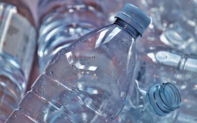 découvrez nos solutions eco-friendly pour un mode de vie plus durable : produits respectueux de l'environnement, conseils pratiques et innovations pour préserver la planète au quotidien.