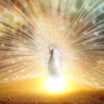 découvrez l'art du feng shui : conseils et astuces pour améliorer l'harmonie, l'énergie et l'équilibre dans votre maison ou votre bureau grâce à des aménagements simples et efficaces.