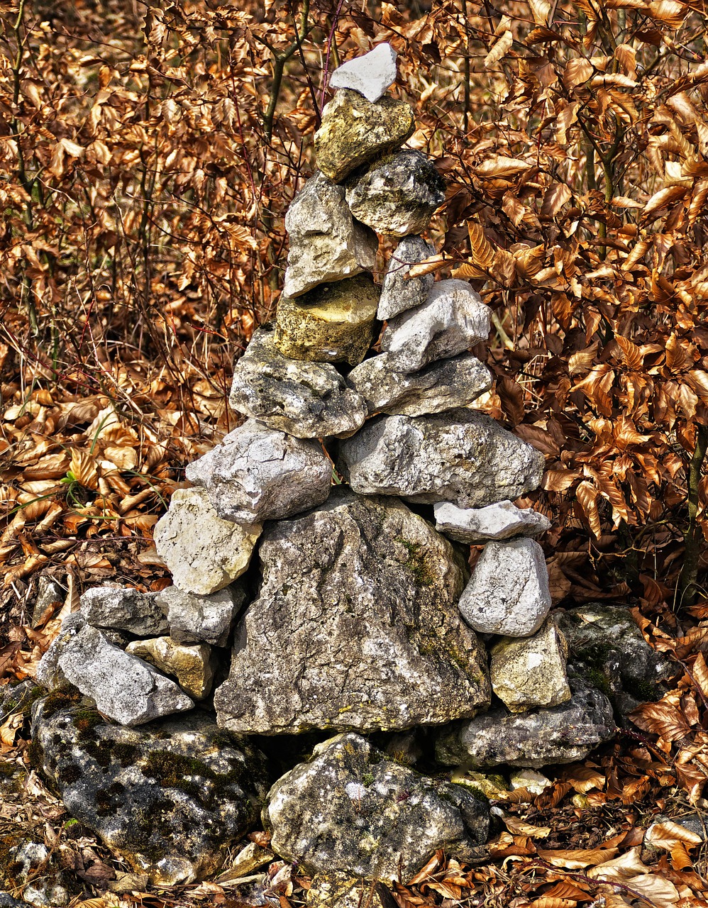découvrez les principes du feng shui pour harmoniser votre espace de vie, améliorer votre bien-être et attirer l’énergie positive dans votre maison.