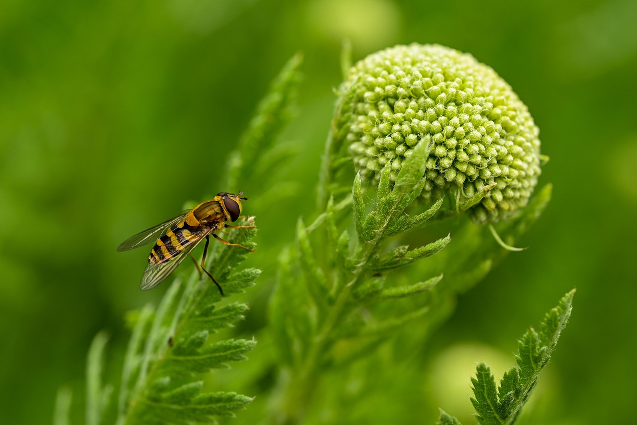 découvrez comment créer un jardin nécessitant peu d'entretien, idéal pour profiter d'un espace vert sans effort. conseils, astuces et plantes adaptées pour un extérieur beau et facile à entretenir.