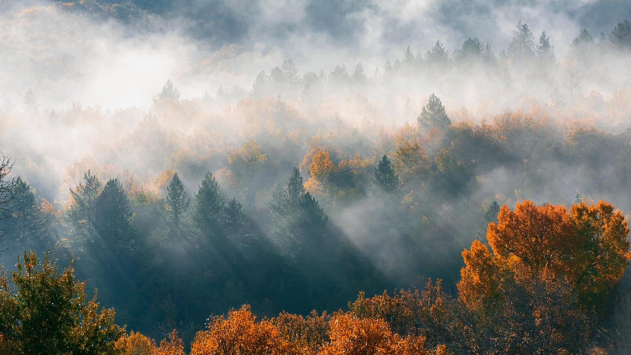 découvrez nos conseils, astuces et idées pour profiter pleinement de l’outdoor : activités, équipements, tendances et destinations pour vivre des aventures en plein air.