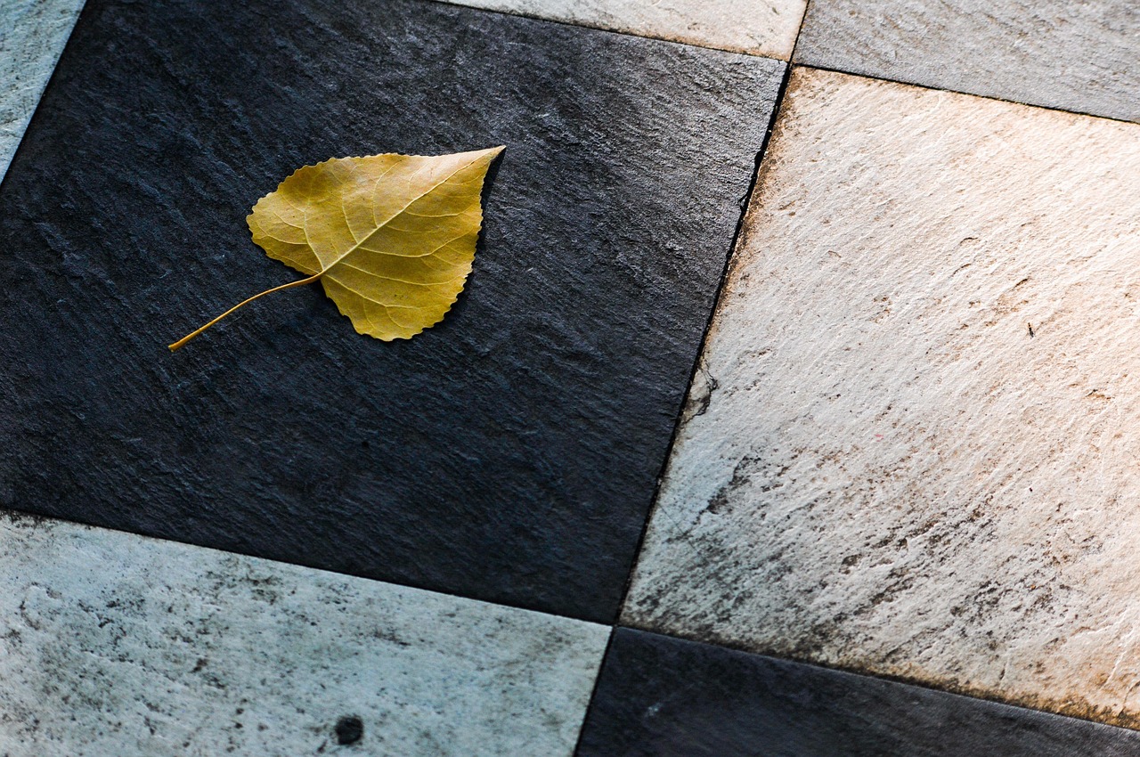 découvrez nos solutions de revêtement de sol extérieur, idéales pour terrasses, balcons et jardins. alliez esthétique, durabilité et facilité d’entretien avec des matériaux adaptés à tous vos projets d’aménagement extérieur.