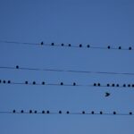 découvrez tout sur le partitioning, une méthode essentielle pour organiser et optimiser la gestion des données dans vos systèmes informatiques ou bases de données, afin d'améliorer les performances et l'accessibilité.