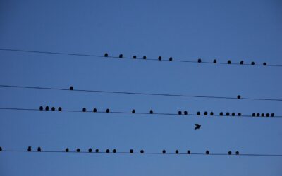 découvrez tout sur le partitioning, une méthode essentielle pour organiser et optimiser la gestion des données dans vos systèmes informatiques ou bases de données, afin d'améliorer les performances et l'accessibilité.