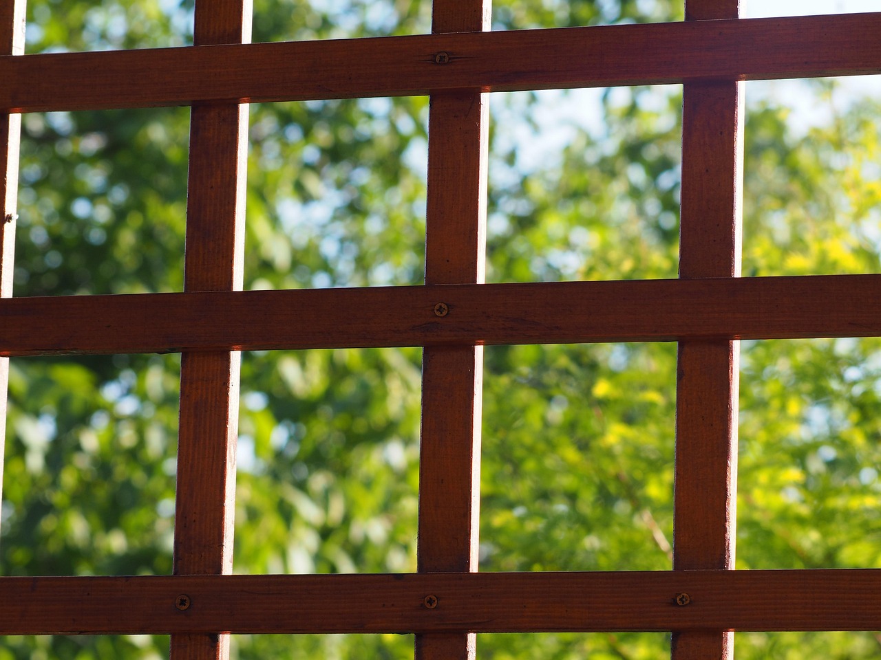 découvrez notre sélection de pergolas élégantes et résistantes pour sublimer votre jardin ou terrasse. profitez de nos conseils pour choisir la pergola idéale adaptée à vos besoins et à votre espace extérieur.