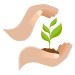 découvrez comment adopter le sustainable decor et transformer votre intérieur avec des idées éco-responsables, durables et élégantes pour un habitat respectueux de l’environnement.