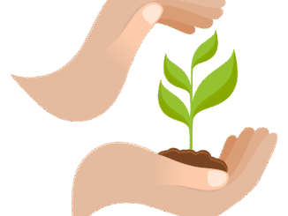 découvrez comment adopter le sustainable decor et transformer votre intérieur avec des idées éco-responsables, durables et élégantes pour un habitat respectueux de l’environnement.