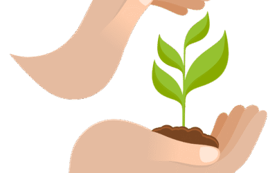 découvrez comment adopter le sustainable decor et transformer votre intérieur avec des idées éco-responsables, durables et élégantes pour un habitat respectueux de l’environnement.